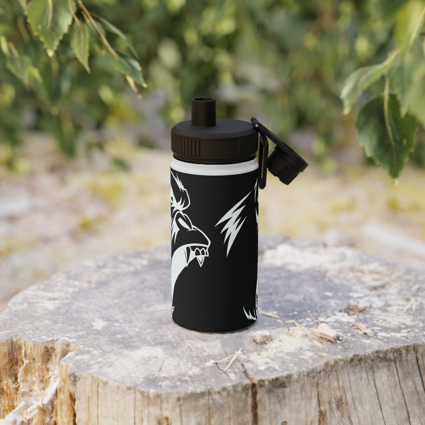 Stainless Steel Water Bottle, Sports Lid