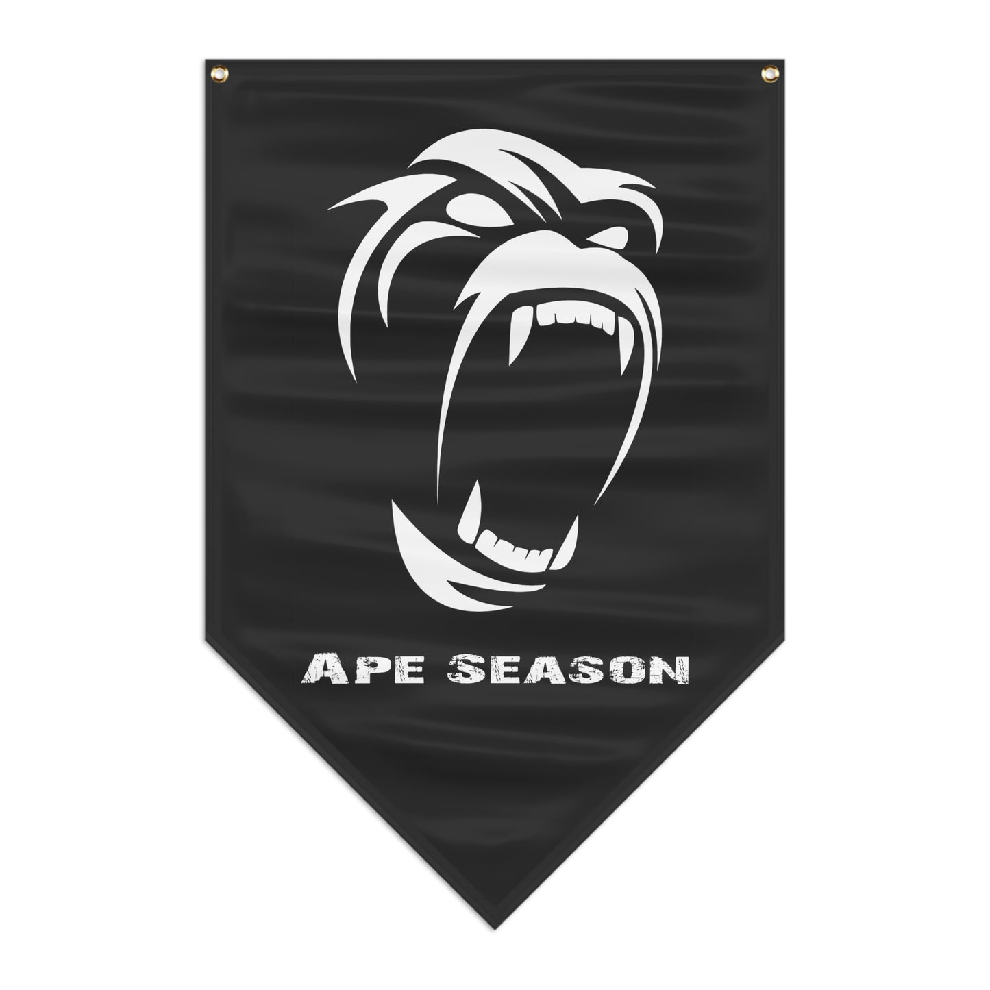 Pennant Banner