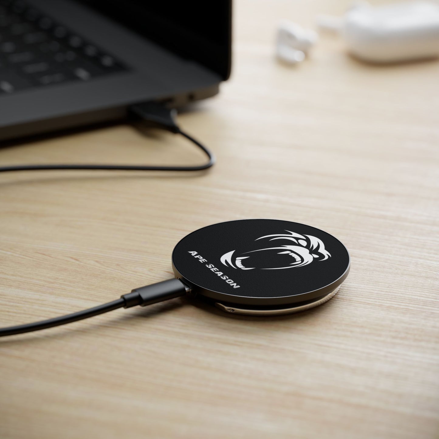 Magnetic Induction Charger