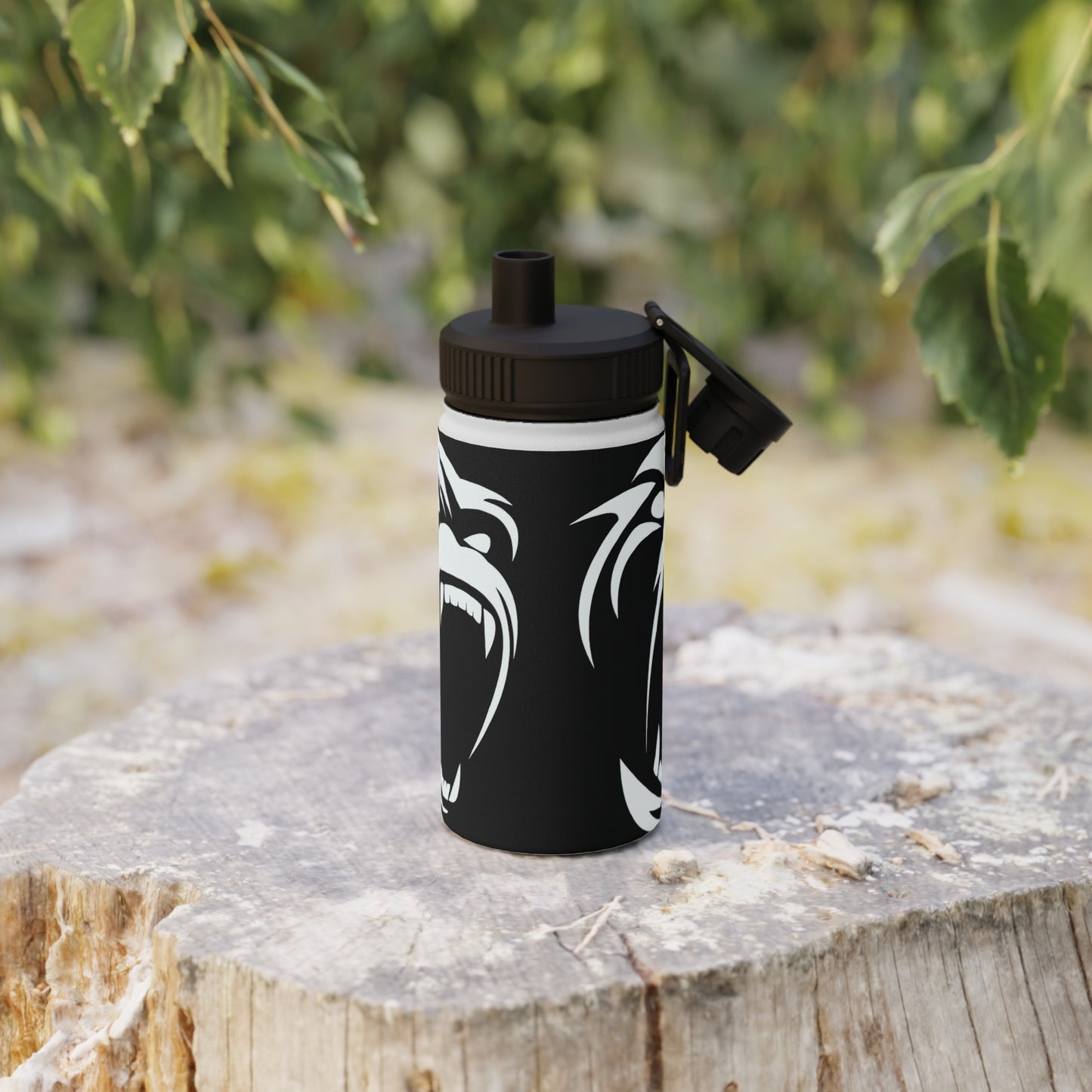 Stainless Steel Water Bottle, Sports Lid