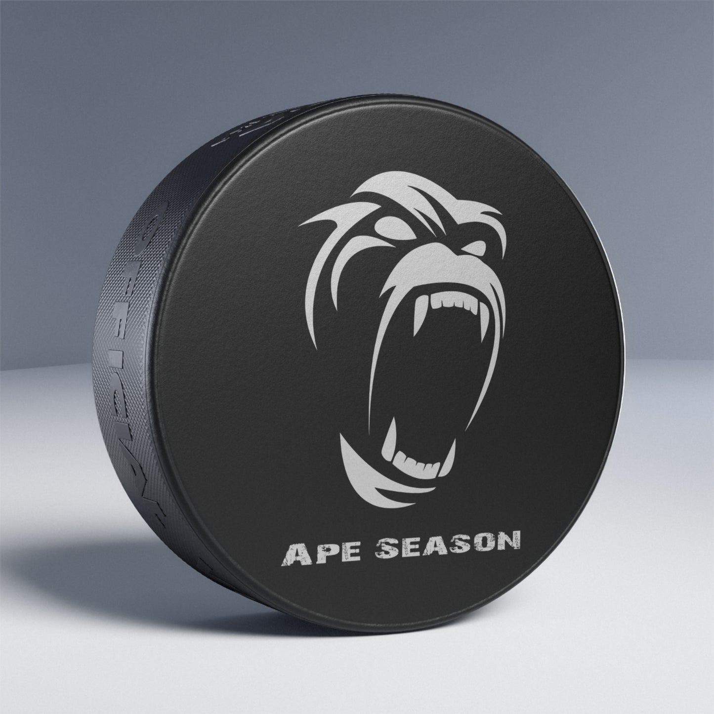 Hockey Puck