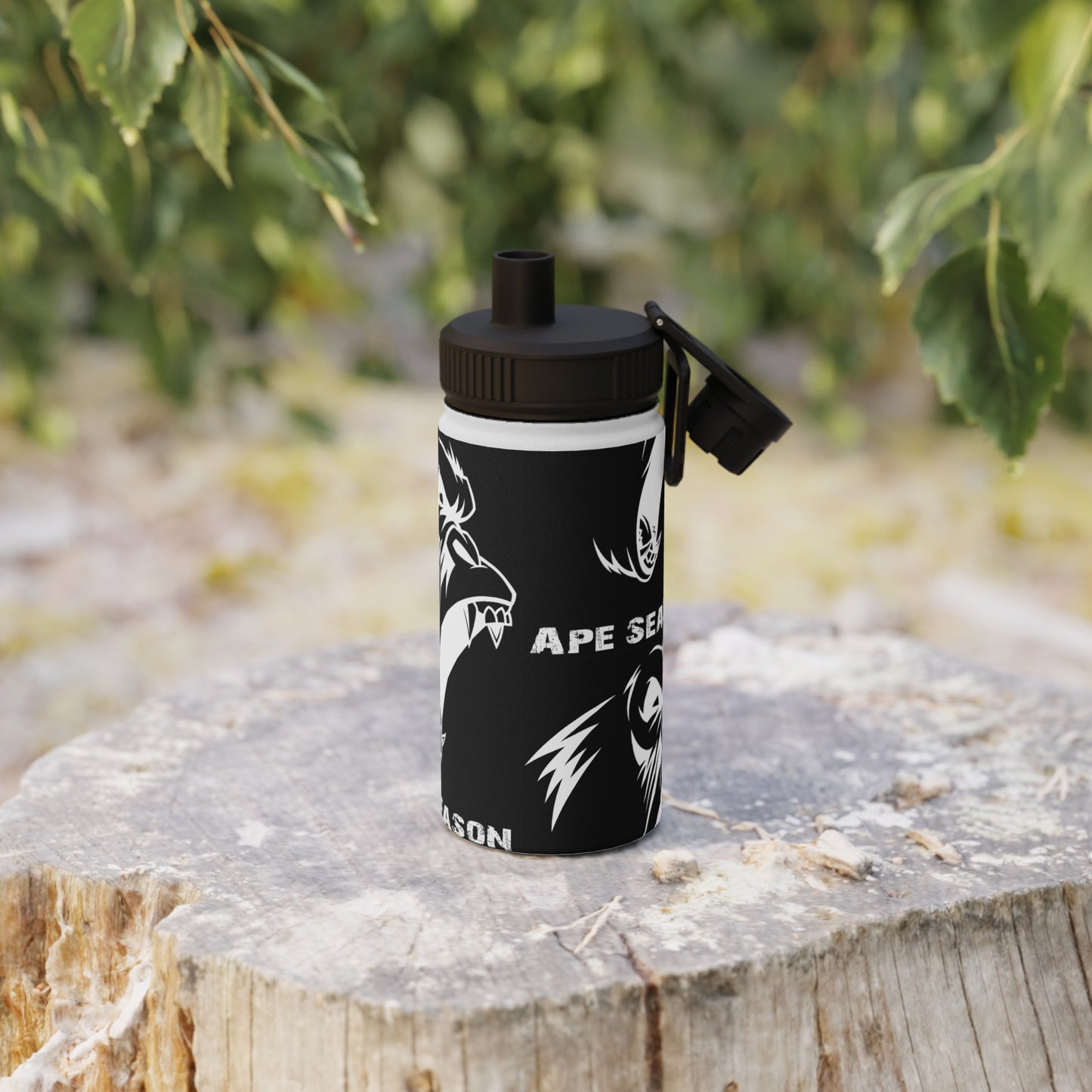 Stainless Steel Water Bottle, Sports Lid