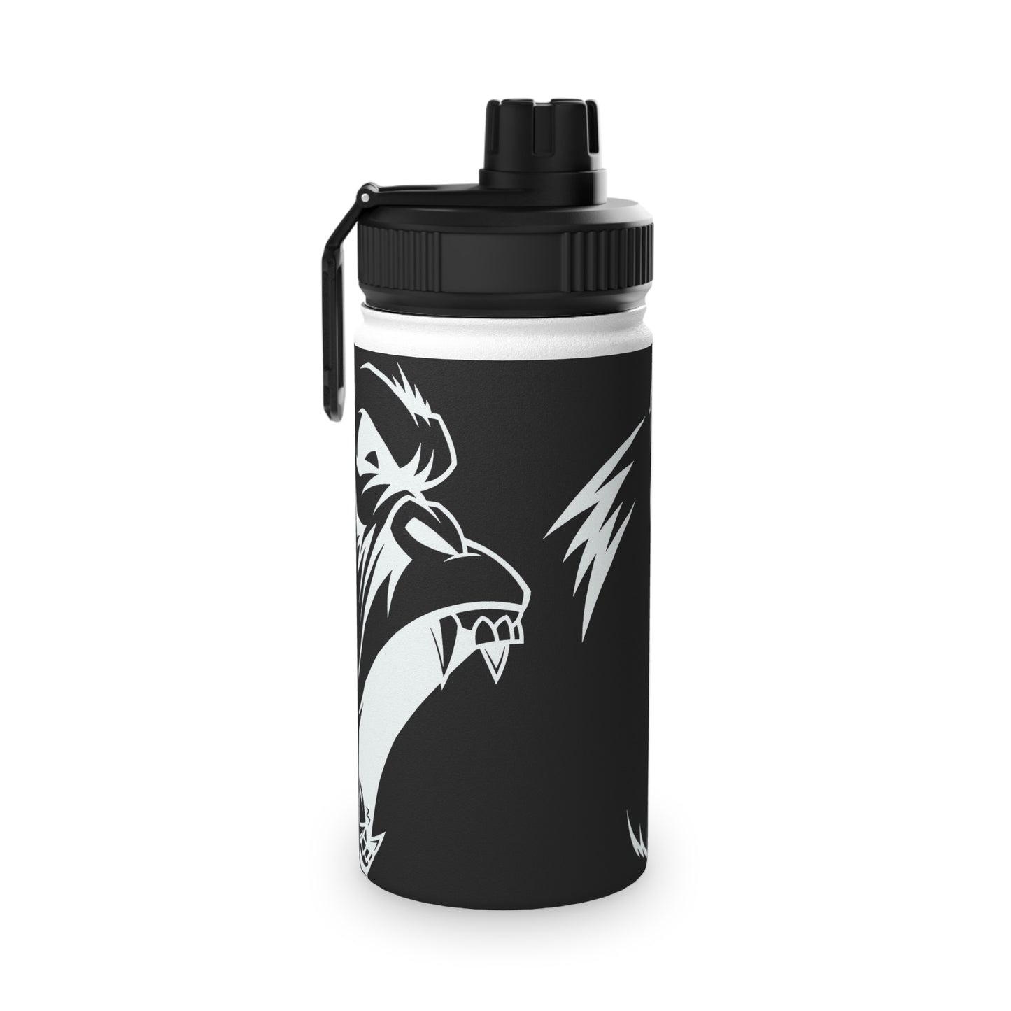 Stainless Steel Water Bottle, Sports Lid