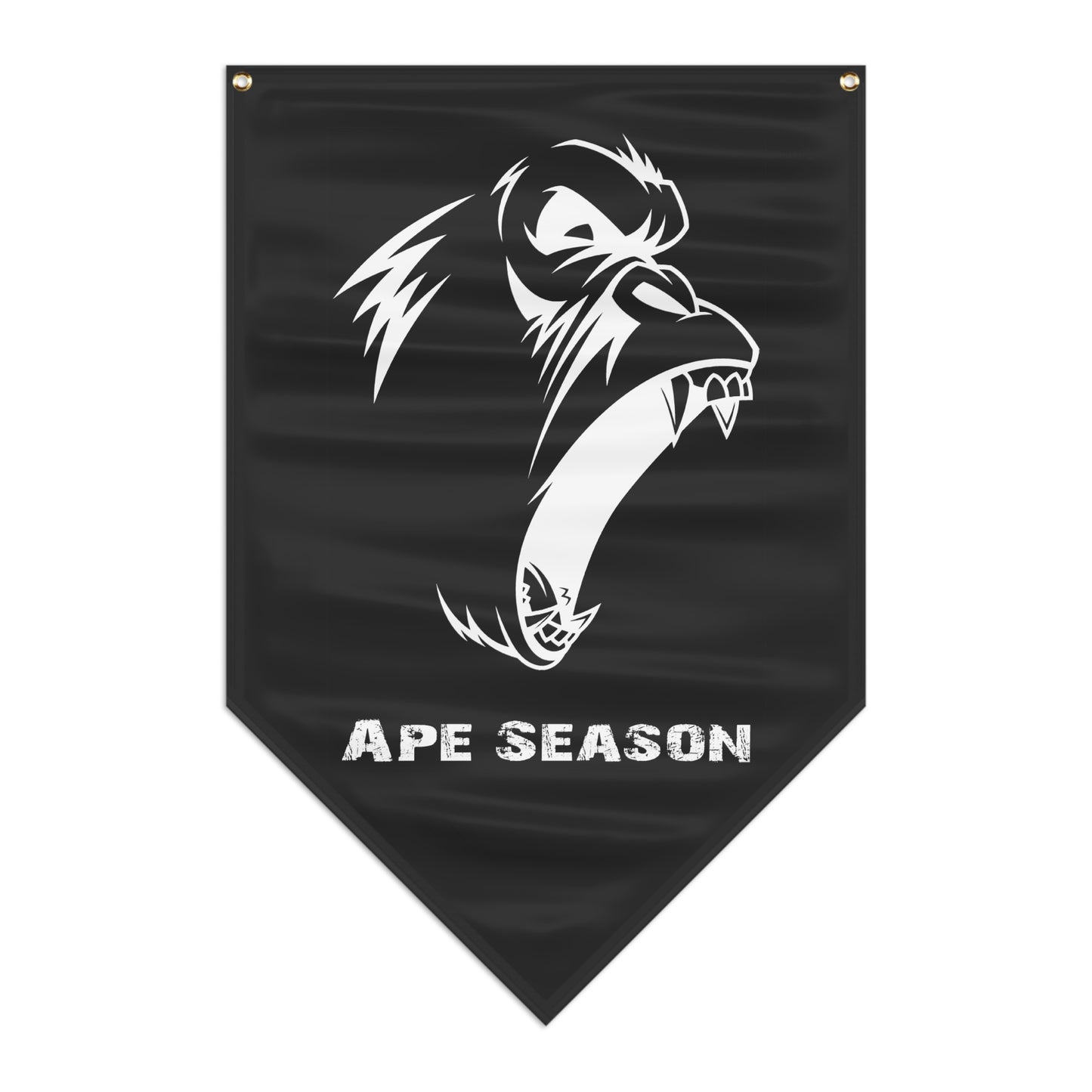 Pennant Banner